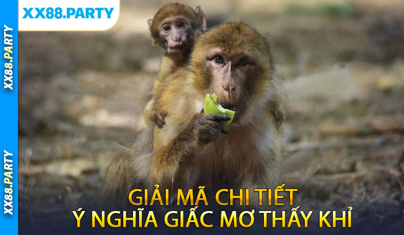 Giải mã chi tiết ý nghĩa giấc mơ thấy khỉ