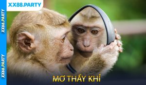 Mơ thấy khỉ
