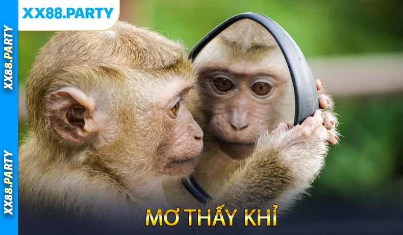 Mơ thấy khỉ